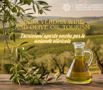 Guida Wine and Olive Oil Tourism imprese olivicole