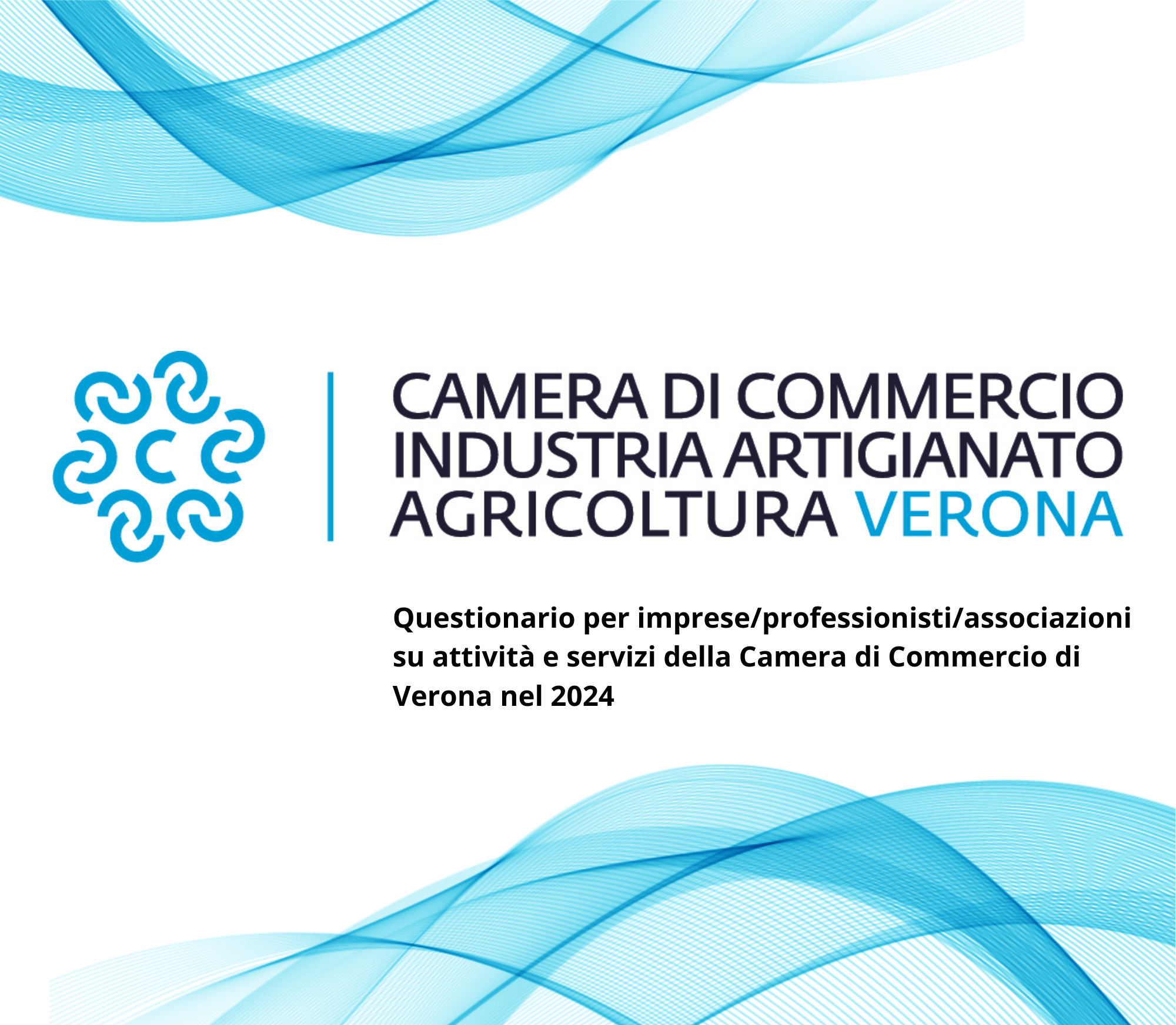 Questionario su attività e servizi della Camera di Commercio di Verona